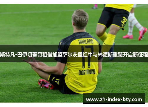 斯特凡·巴伊切蒂奇租借加盟萨尔茨堡红牛与林德斯重聚开启新征程