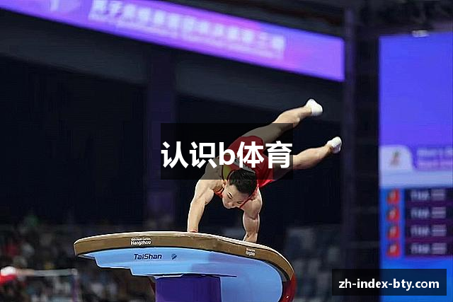 认识b体育